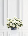 Poinsettia Artificial Plant White OUTLET