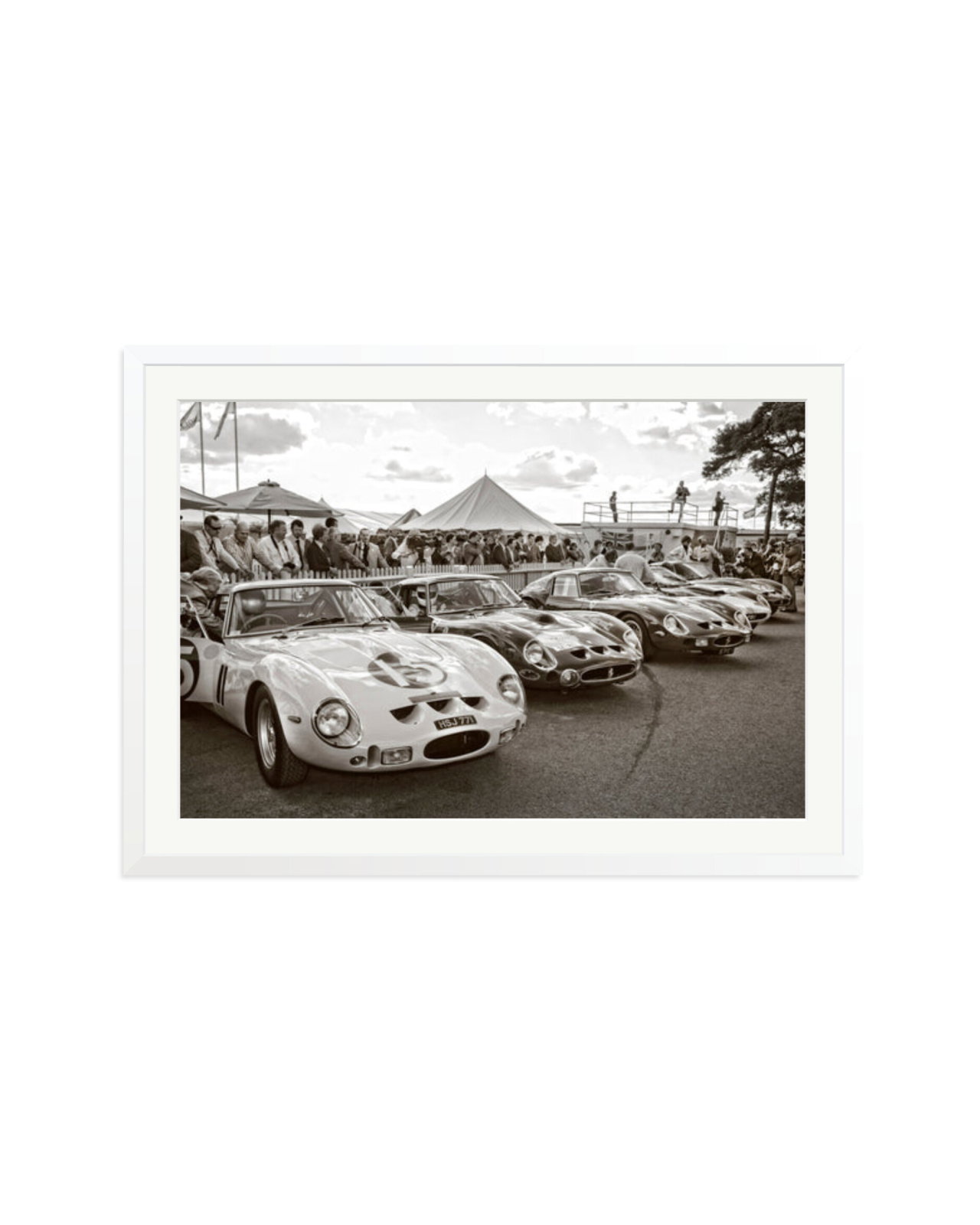 Goodwood Revival Ferarri 250 GTO's White / XXL