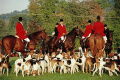 Millbrook Hunt