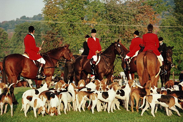Millbrook Hunt