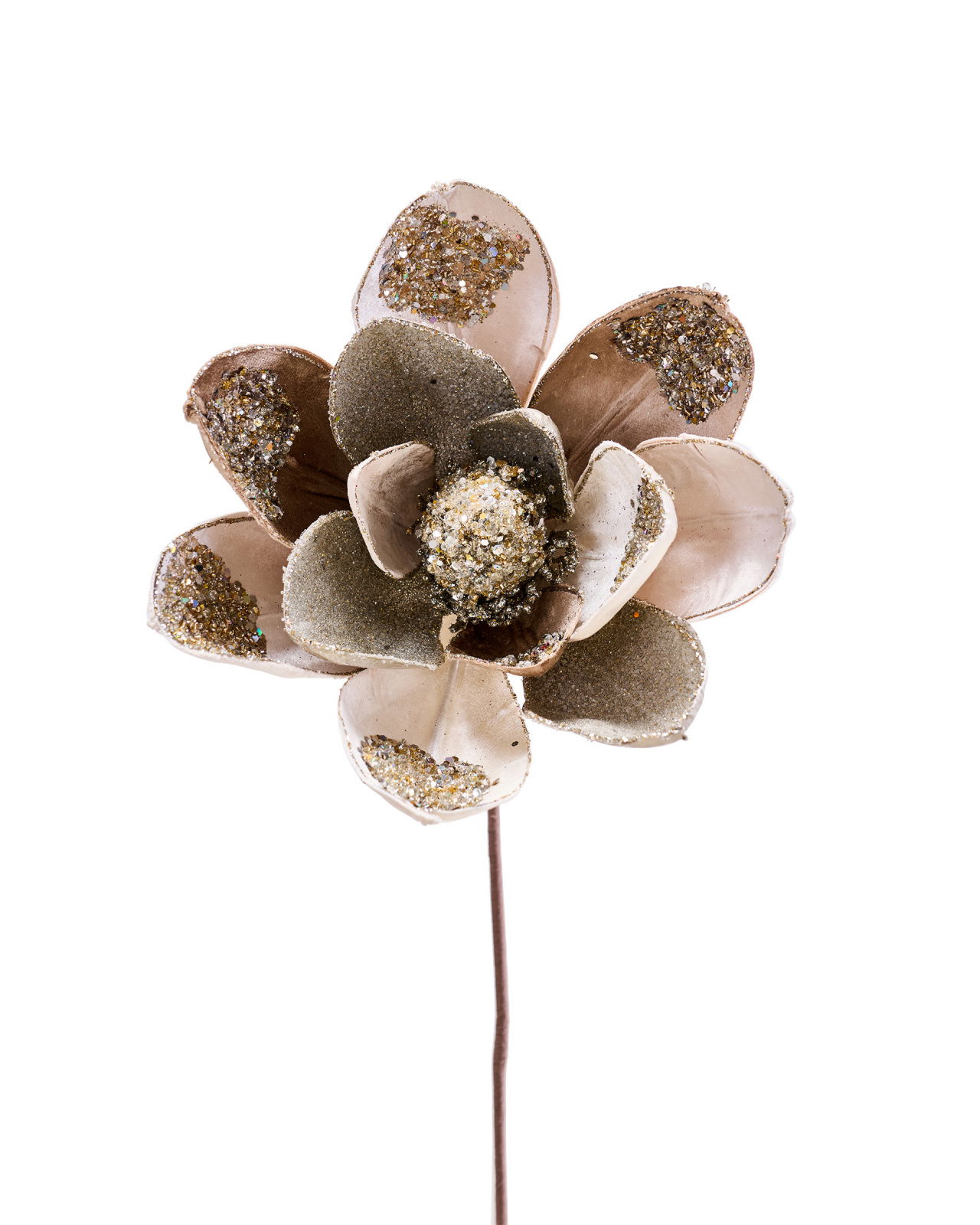 Magnolia decoratietak champagne
