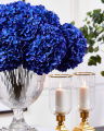 Hydrangea Cut Flower Dark Blue