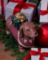 Chestnut hond kerstdecoratie
