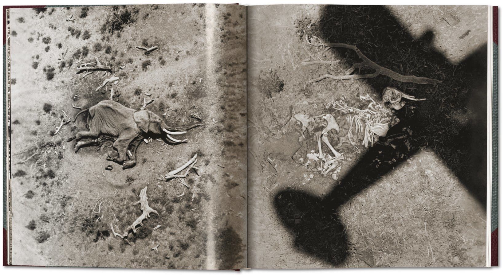 Peter Beard. The End of the Game