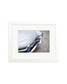 Alfa Romeo Giulia SS White / Small