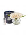 Hydrangeas Gift Set