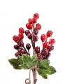 Grape Decorative Branch Red