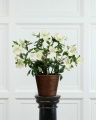 Christmas Rose Artificial Plant White