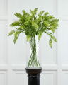 Astilbe Cut Flower Green