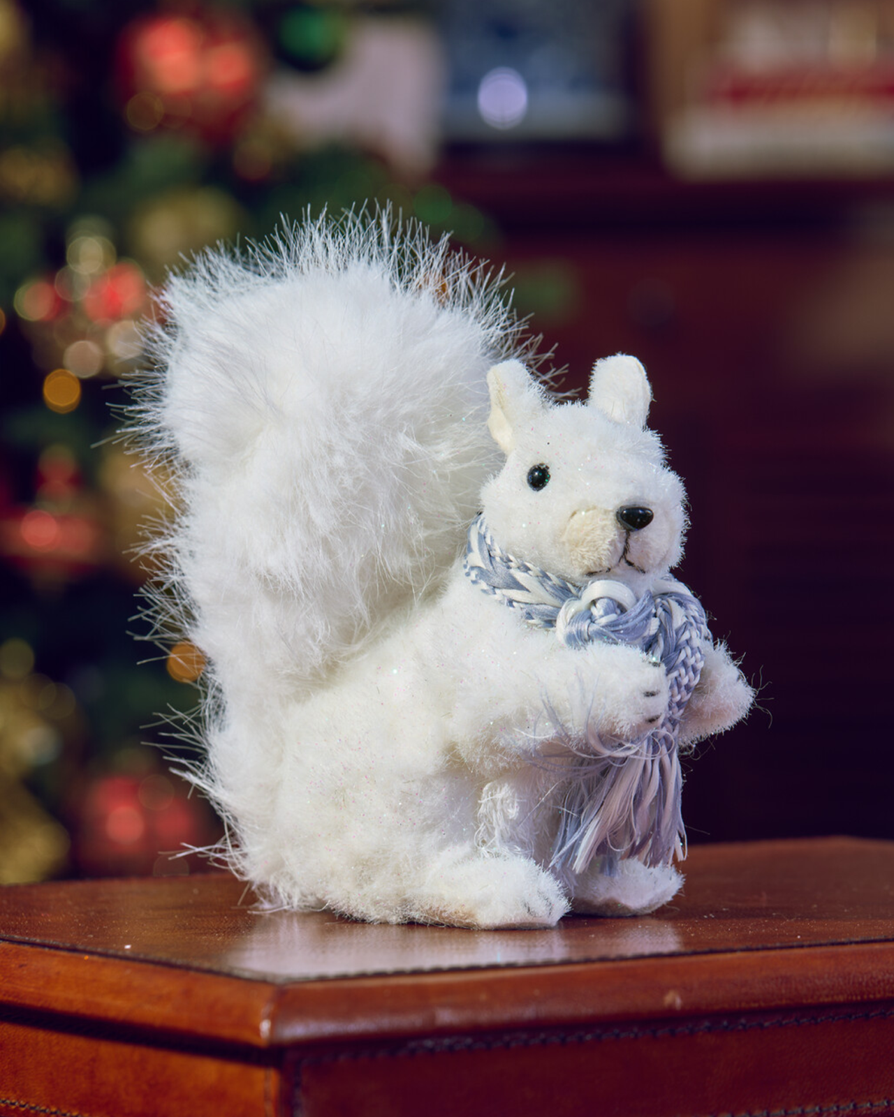 Ivy-joulukoriste, valkoinen