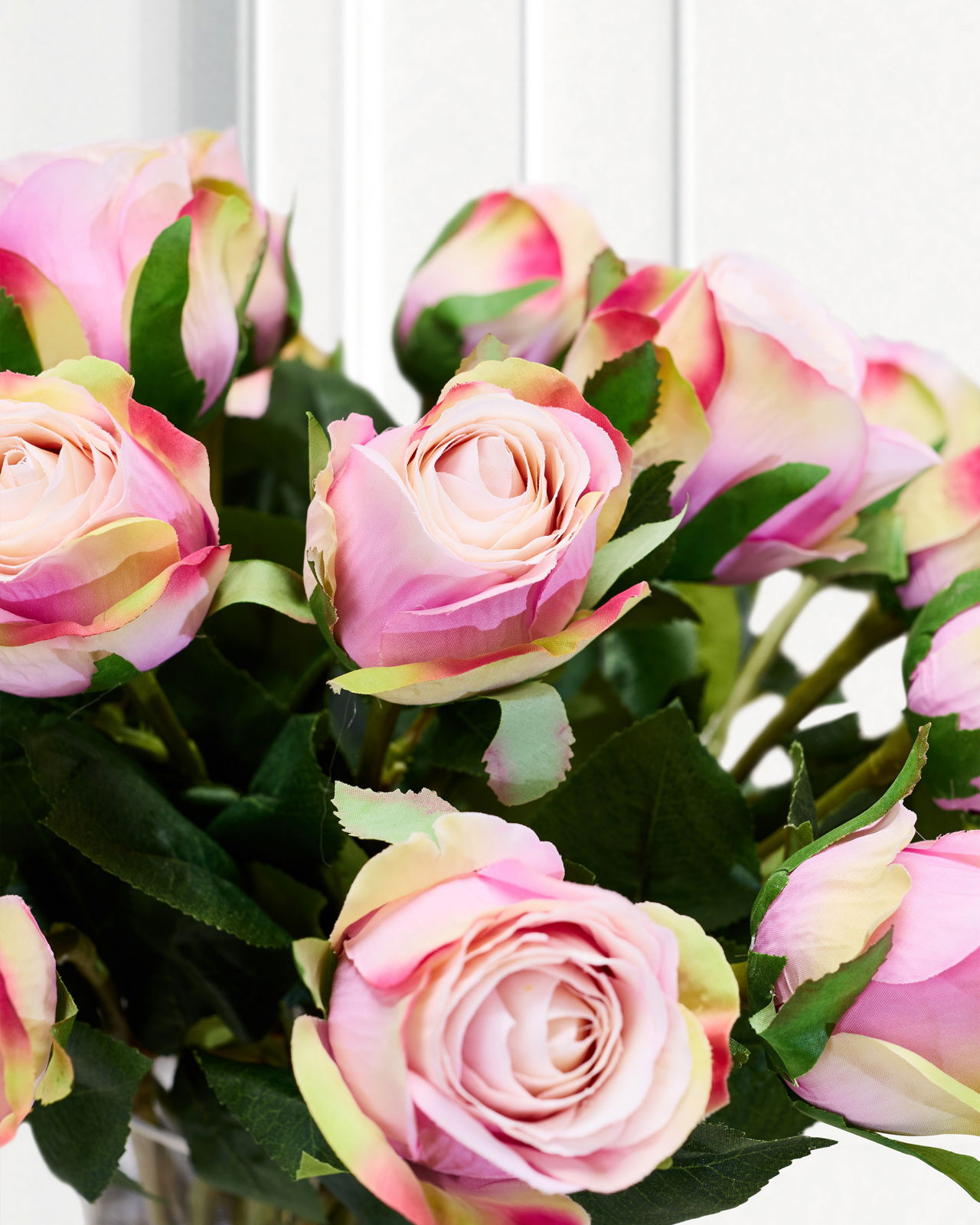 Rose Schnittblume rosa