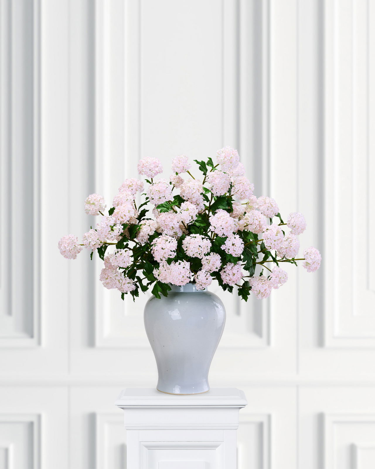 Olvon afskåret blomst hvid