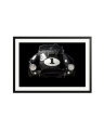Shelby Cobra Black / XXL