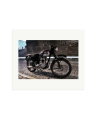 Triumph 1963 Print Only / Large