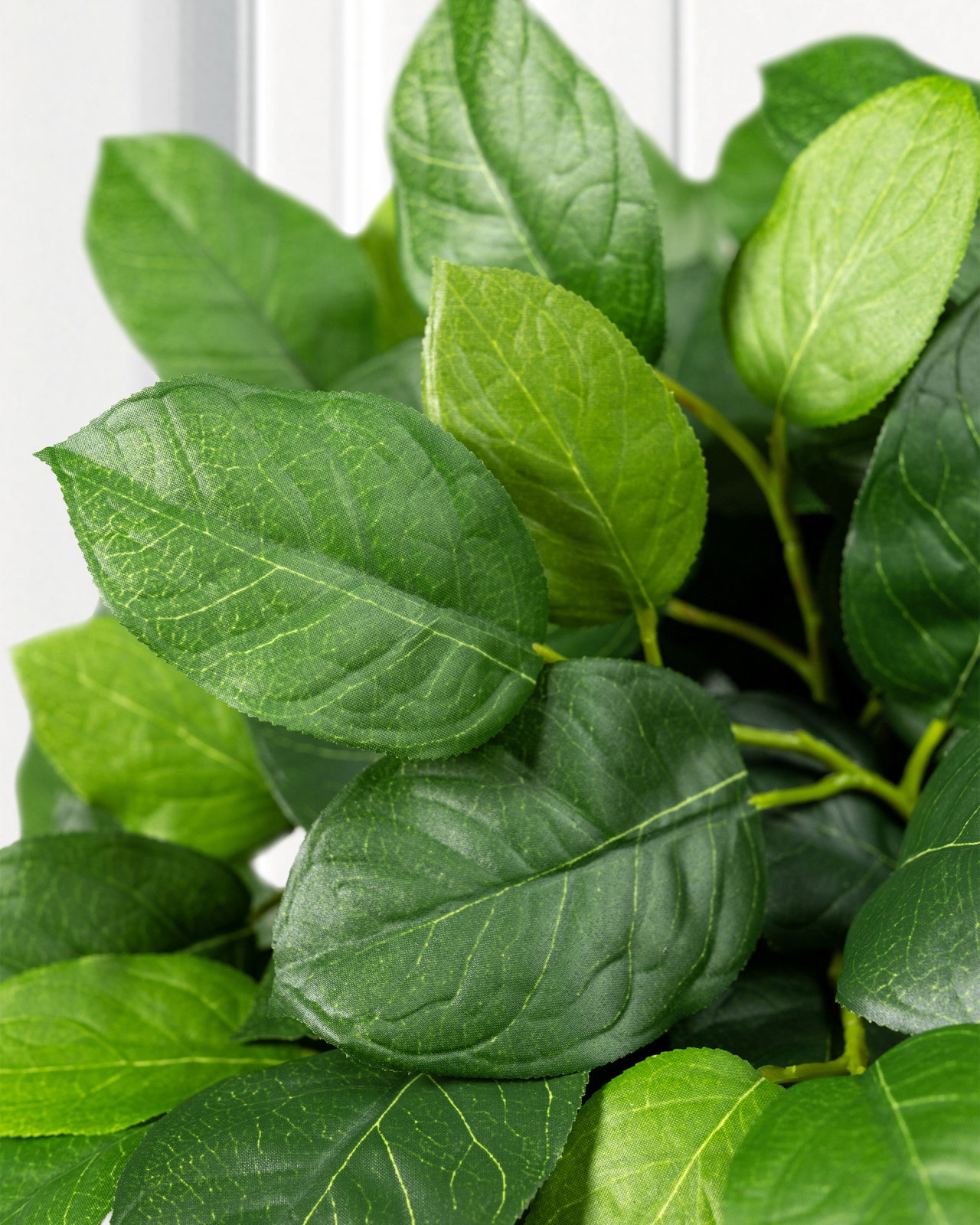 Bladkvist snittblomma grön