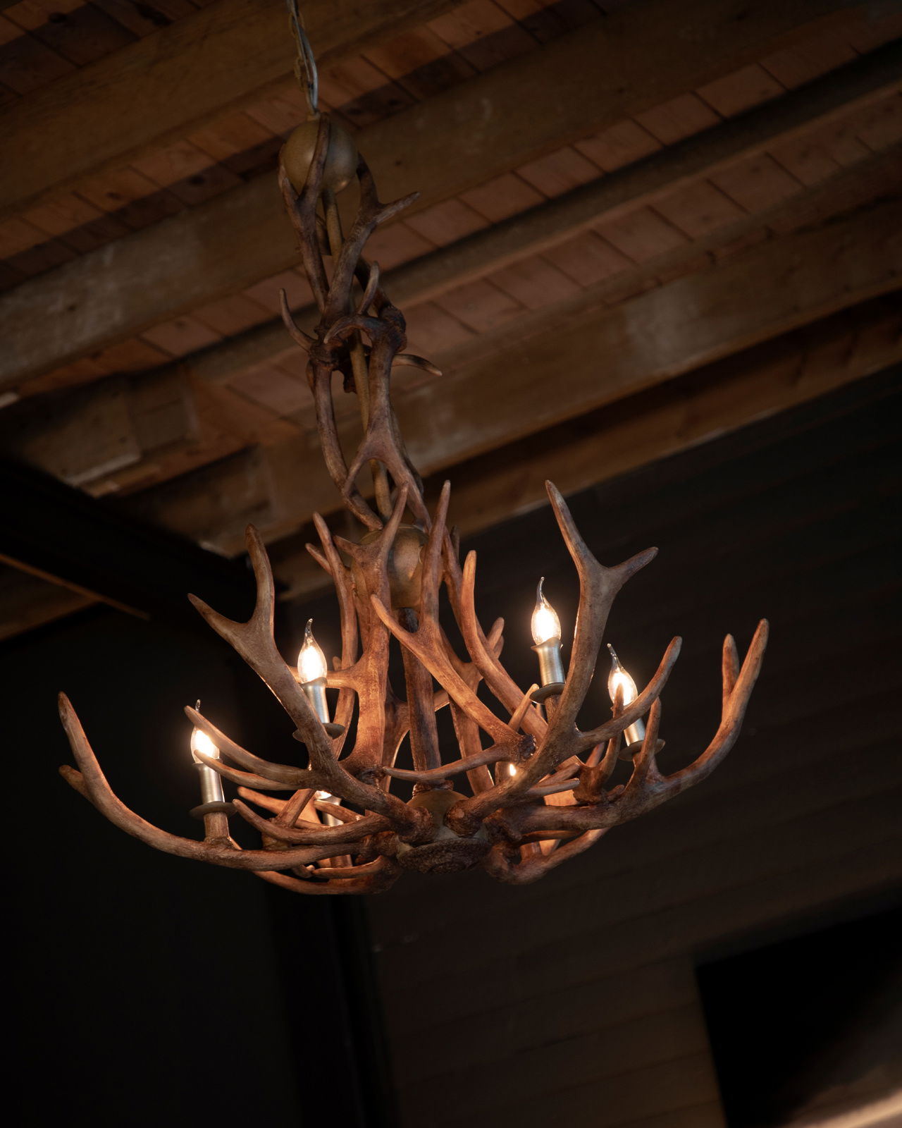 Antler takkrona natur Ø90