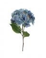 Hortensia – afskåret blomst i blå/grøn