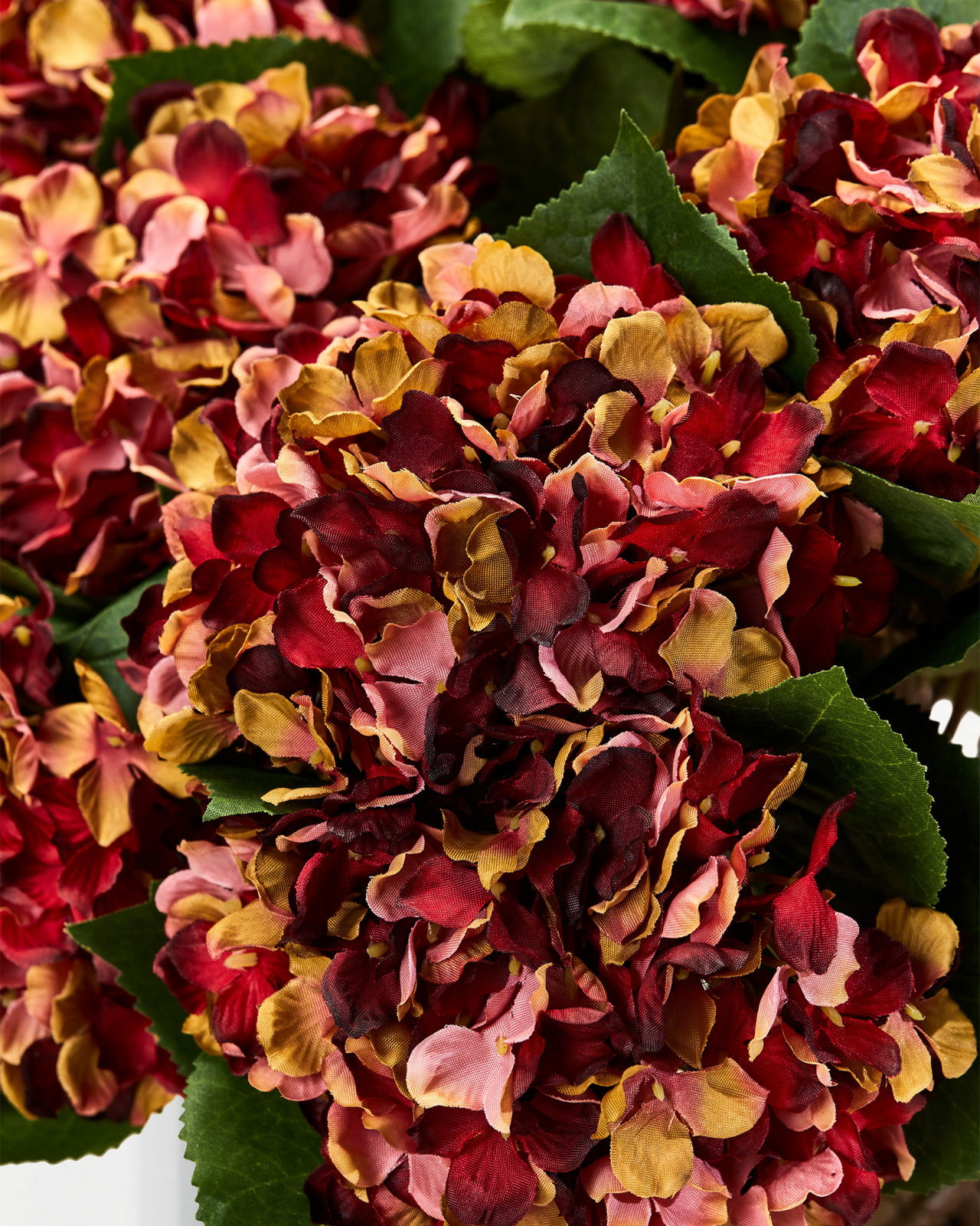 Hydrangea cut flower (red)