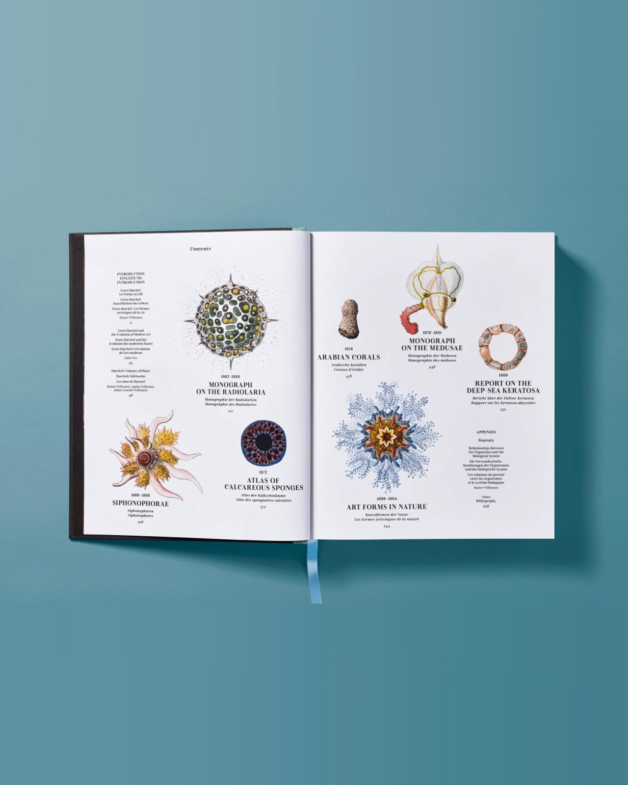 The Art and Science of Ernst Haeckel