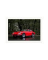 1967 Ferrari Print Only / XXL