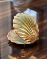 Venus Tray Brass