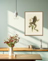 Big Jumping Frog