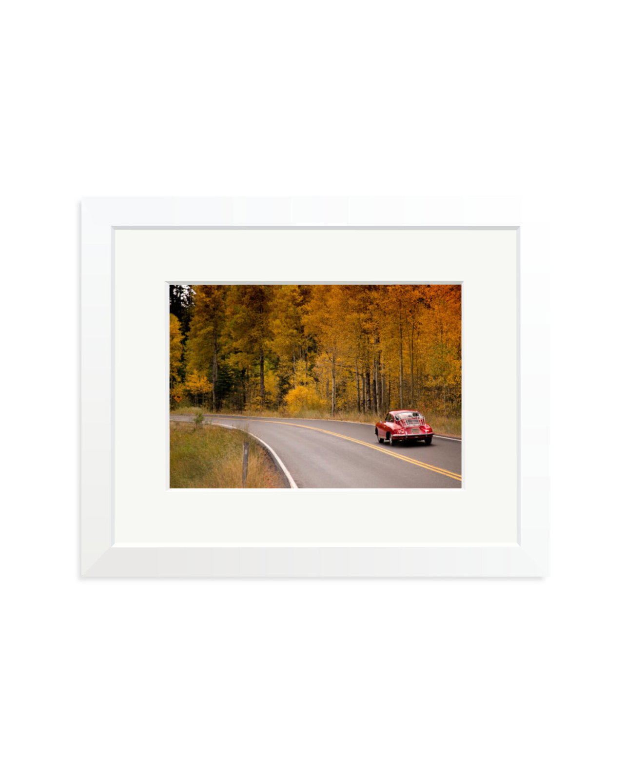 356 Porsche White / Small