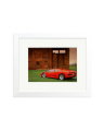 Lamborghini VT White / Small