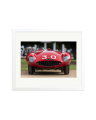 1954 Ferrari 500 Mondial White / Large