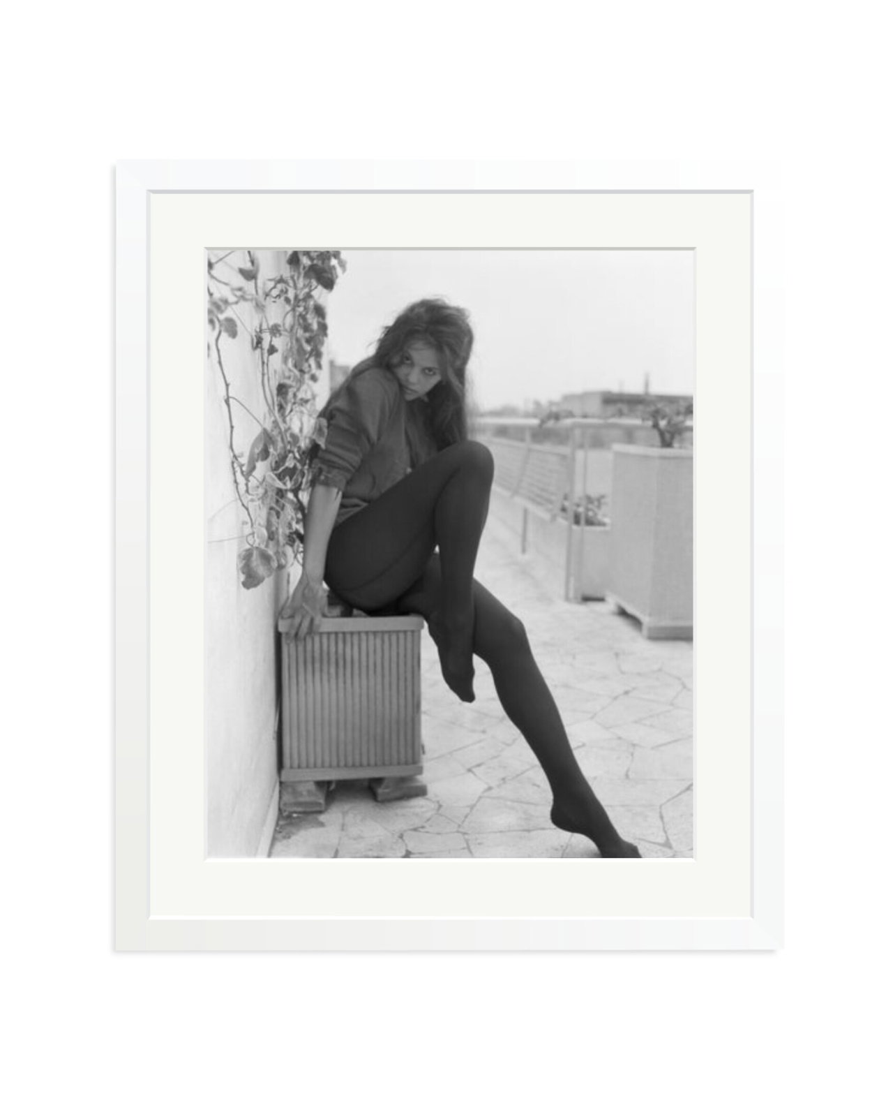 Cardinale Posing in Rome White / Large