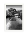 The Series III Print Only / XXL