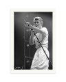 The Isolar II Tour Print Only / XXL