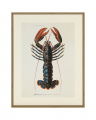 Lobster 1