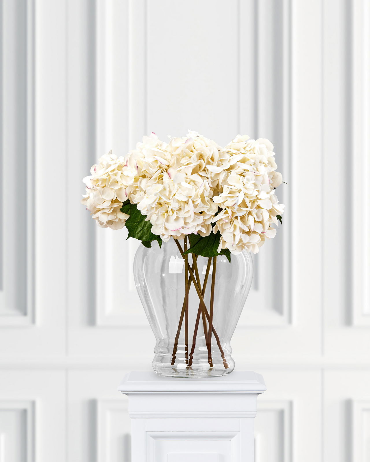 Hydrangea Cut Flower White