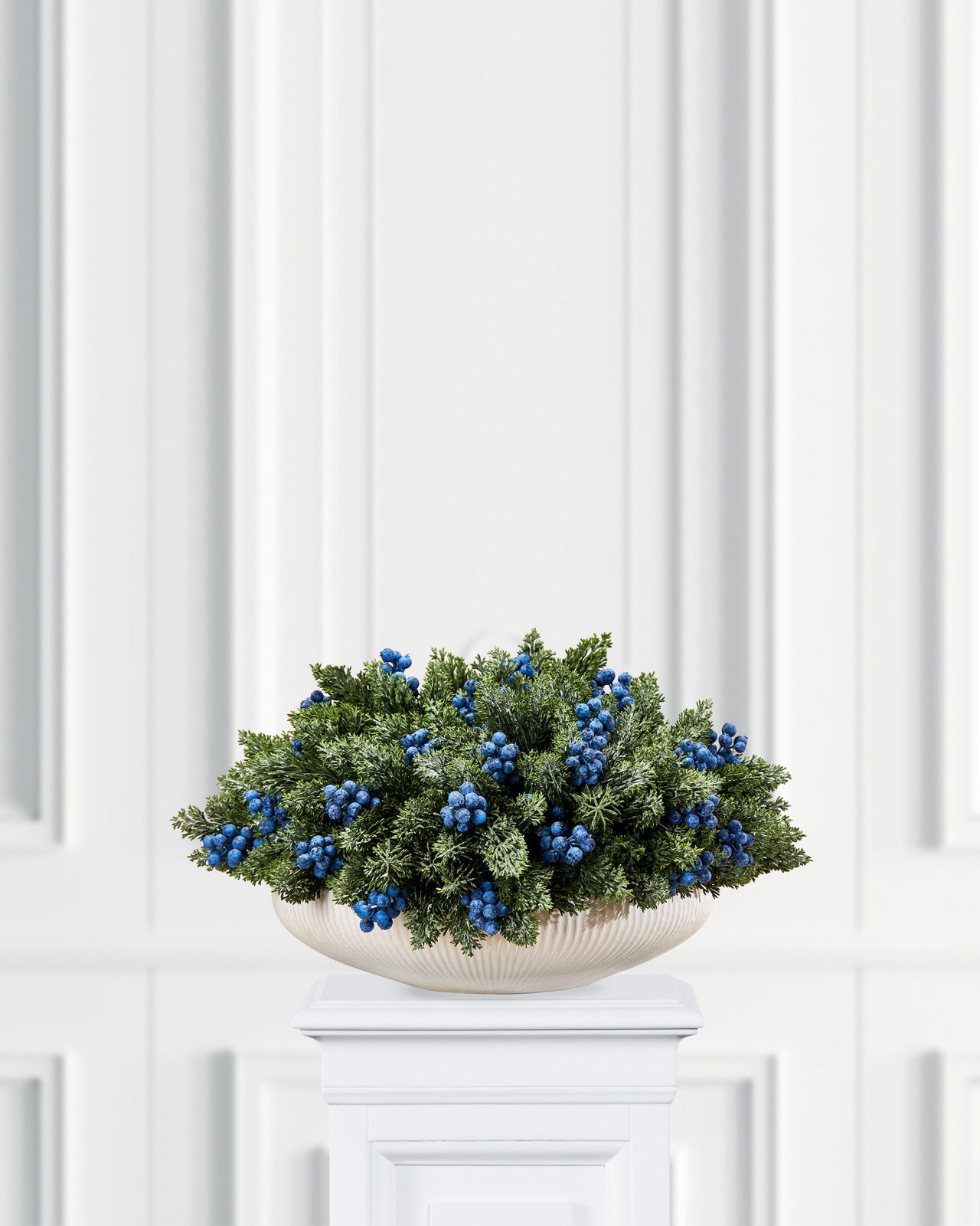 Talvimarja oksa sinisillä marjoilla