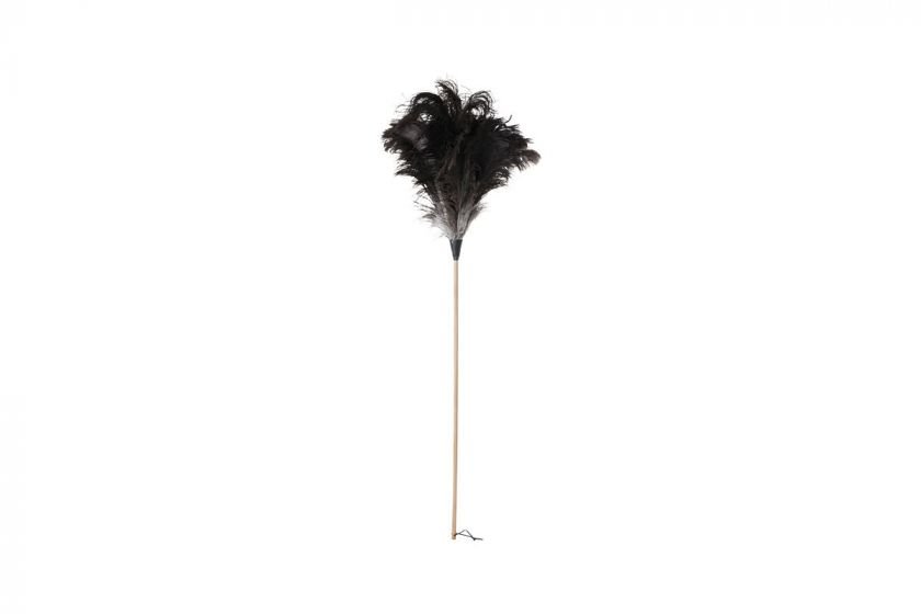 Ostrich dammvippa svart