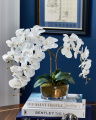 Orchidée Classique Gift Set