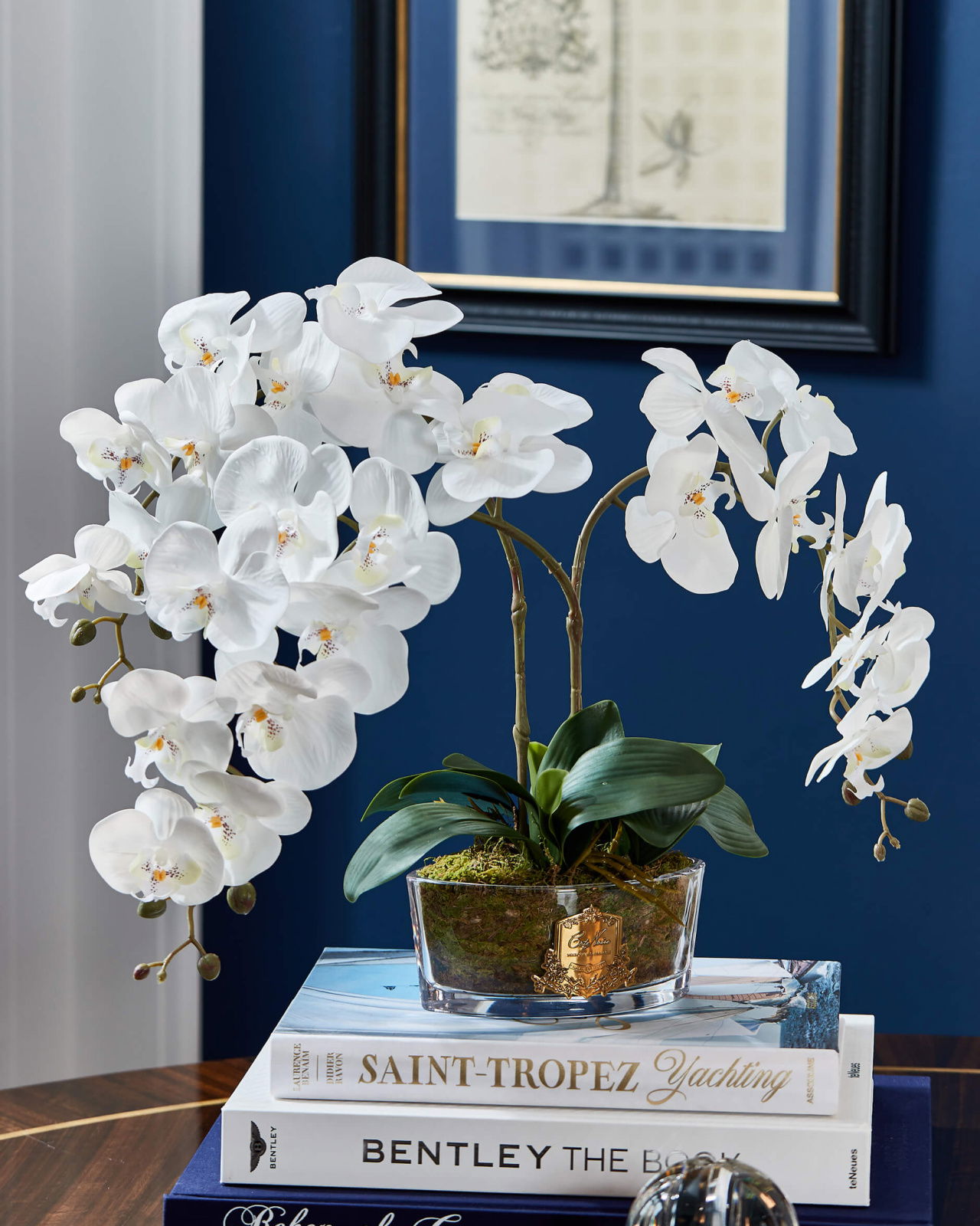 Orchidée Classique gåvoset