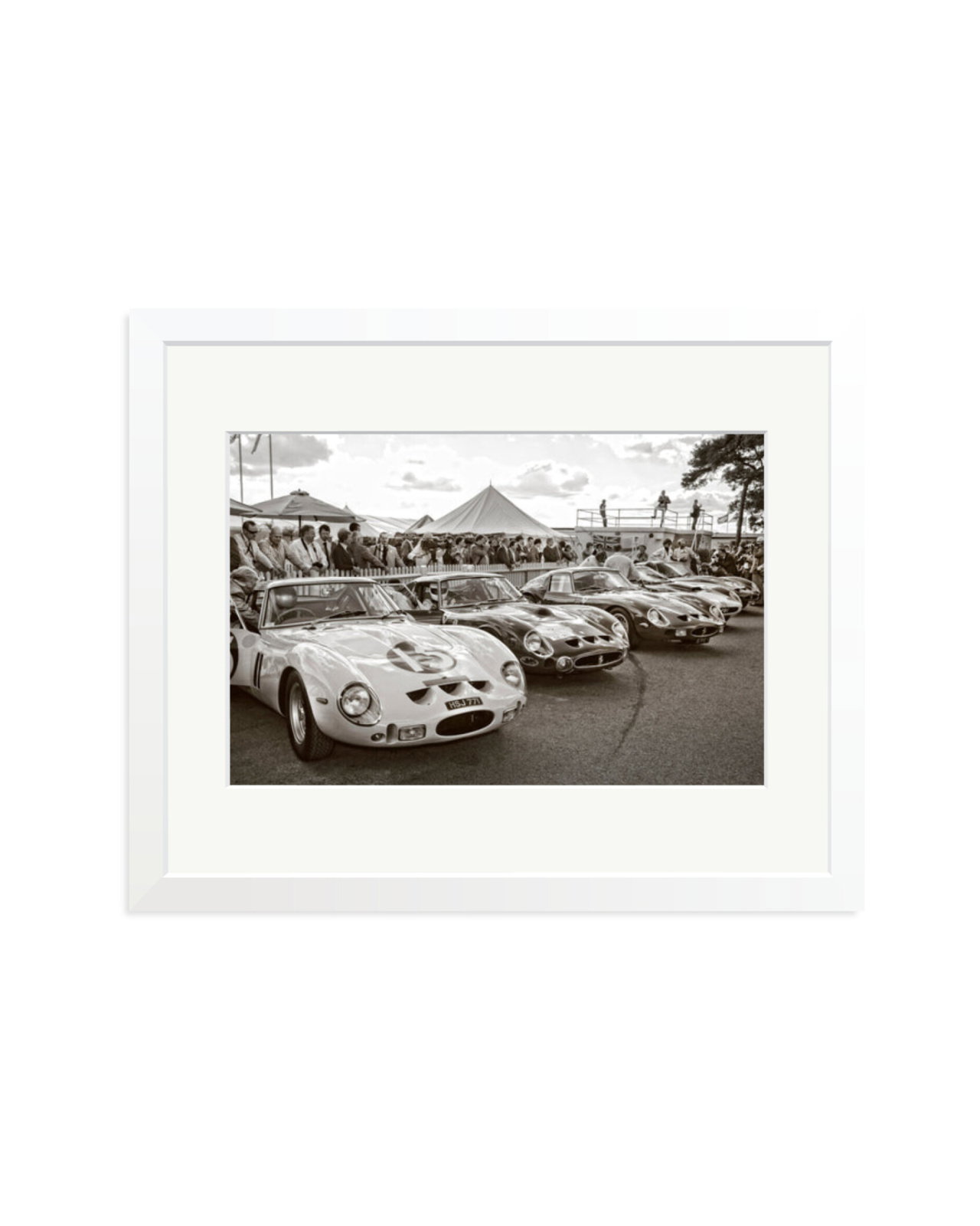 Goodwood Revival Ferarri 250 GTO's White / Medium