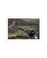 1989 Land Rover Print Only / XXL