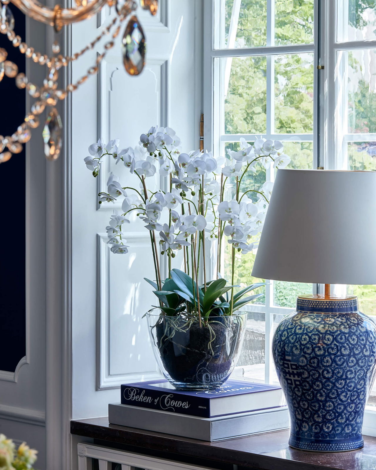 Orchidee Topfpflanze weiß