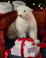 Sigun Polar Bear Christmas Decoration