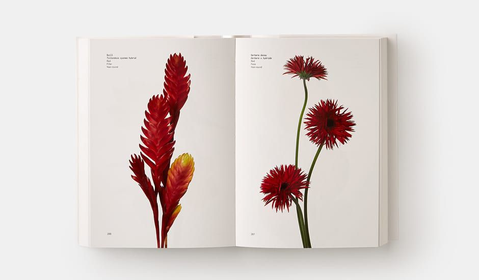 Flower Colour Guide