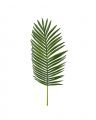 Palm leaf potted plant green