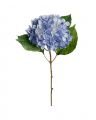 Hortensia snittblomst lyseblå
