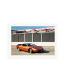Maserati Bora Print Only / XXL
