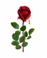 Rose snittblomst rød