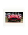 1954 Ferrari 500 Mondial Print Only / Large