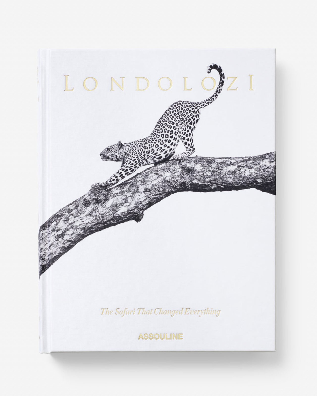 Londolozi, The Safari that Changed Everything