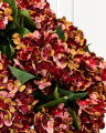 Hydrangea cut flower (red)